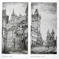 Michal Hajnal / Hajnal Mihály. Szerk.: Csák Ferenc. Wehner Tibor bevezető tanulmányával. Bp - Sopron...