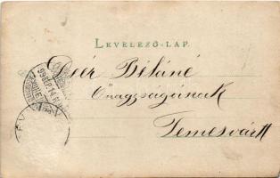 1899 (Vorläufer) Hátszeg, Hateg; utca, Kéméndy Albert üzlete / street, shop. photo (Rb)