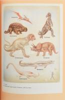 Géczy Barnabás: Őslénytan. Bp., 1989, Universitas. Tóth Pál grafikusművész rajzaival. Kiadói kartoná...