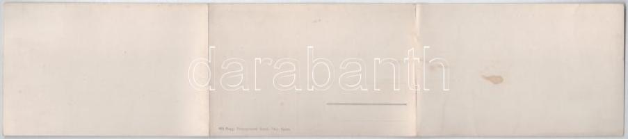 Nagyvárad, Oradea; Nogáll utca, Szent Vince Intézet. 3-részes kihajtható panorámalap / street, schoo...