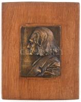 Jelzés nélkül Liszt plakett, bronz 6x7cm, fa alapon