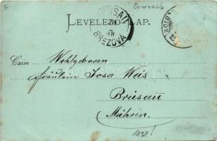 1898 (Vorläufer) Kolozsvár, Cluj; tér éjjel, emlékmű, Akontz Sándor, Wolff J. gyógyszertára, Daniel ...