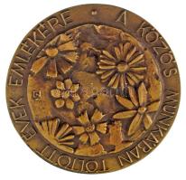 Nagy István János (1938-) 1974. "A közös munkában töltött évek emlékére / 1949-1979 A szocialista vasut építésében kifejtett 25 éves úttörő tevékenységéért Dr. Kováts Imre elvtársnak" bronz emlékérem (100mm) T:AU