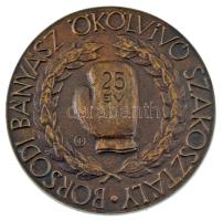 ~1970-1980. "Borsodi Bányász Ökölvívó Szakosztály - 25 év" egyodlalas bronz emlékérem (103mm) T:AU