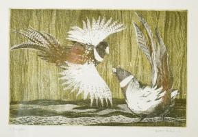 Kádár Katalin (1951- ): Ellenfelek. Színes rézkarc, papír, jelzett, üvegezett fakeretben, 19×29 cm