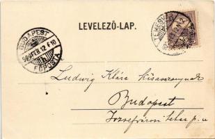 1900 Temesvár, Timisoara; Hunyadi utca, Nedlinger, Csendes Jakab üzlete és saját kiadása / street, s...