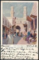 1904 Gróf Zichy Anasztázia által írt képeslap