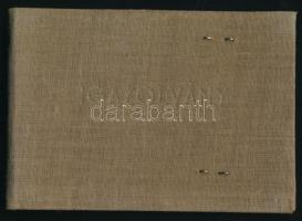 1961 Árpád Kórház arcképes igazolványa segédorvos részére