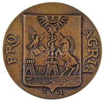 1991. "Pro Agria" bronz emlékérem hátlapon "Dr. Koncz Lajos 1995" gravírozással. Szign.: RK? (96mm) T:AU
