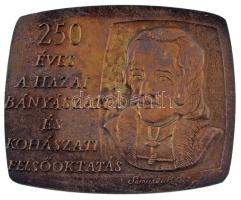 1985. "250 éves a hazai bányászati és kohászati felsőoktatás - Samuel Mikoviny" bronz emlékplakett (89x108mm) T:XF patina