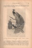 [Folyóirat] Természettudományi Közlöny. Havonkint kétszer megjelenő ismeretterjesztő folyóirat. 63. ...