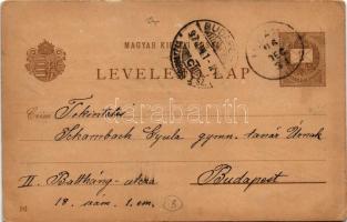 1896 (Vorläufer) Budapest, Ezredéves Országos Kiállítás, Jobb part, Királyi vár, Lánchíd, gőzhajók. ...