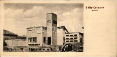 Kovásznafürdő, Baile Covasna; Mofeta / Mofetta, vulkanikus eredetű szén-dioxid gázos fürdő / spa, bath (13,6 cm x 6,8 cm) (non PC)