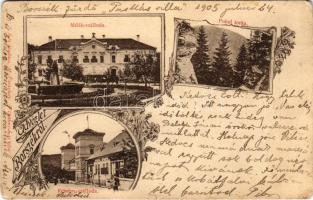 1905 Borszék, Borsec; Mélik szálloda, Remény szálloda, Pokol torka. Soós kiadása / hotels, gorge. Art Nouveau, floral (r)