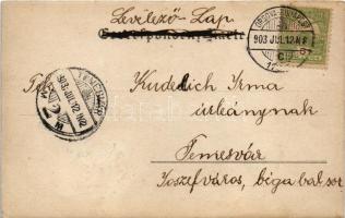 1903 Herkulesfürdő, Baile Herculane; étterem kertje vendégekkel és pincérekkel / restaurant garden w...