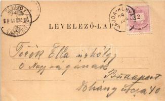 1898 (Vorläufer) Vajdahunyad, Hunedoara; Schloß Hunyad / vár. Verlag v. Adolf Schuller / castle (fl)