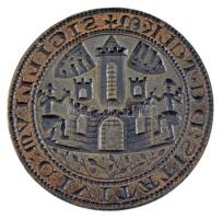 1974. "Bányász-Erdész Barátságért, Telkibnya 1974.IX.27." bronz emlékérem (67mm) T:AU