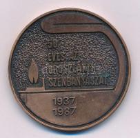 1987. "50 éves az Oroszlányi Szénbányászat 1937-1987 / Oroszlányi Szén" bronz emlékérem. Szign.: Szepesi (50mm) T:XF patina