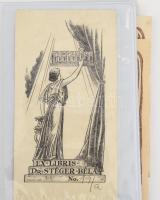 Ex libris tétel: 12 db vegyes ex libris (közte egyformákkal), "A. Bosco Ex Libris" feliratú régi félvászon-mappában, mappa mérete: 29,5x22 cm