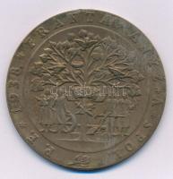 Csehszlovákia 1938. "Franta Anyz és Társa" bronz egyoldalas emlékérem (61mm) T:XF patina Czechoslovakia 1938. "Franta Anyz and Co. (Franza Anyz a Spol.)" one-sided bronze commemorative medallion (61mm) C:XF