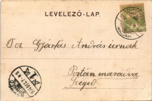 1904 Sepsiszentgyörgy, Sfantu Gheorghe; Székely szövőgyár / weaving mill, textile factory (vágott / ...