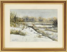 Török András Mátyás (1941-2022): Fácánok (vadászat témájú festmény). Akvarell, papír, jelezve jobbra lent, hátoldalán a művész pecsétjével. Üvegezett fakeretben, 21,5×31 cm