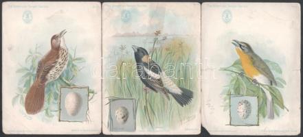 1898-1899 ,,The American Singer Series" Singer varrógép gyűjtőkártyák, 6 db, az egyik oldalon m...