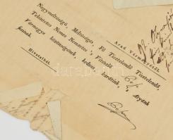 1842 Arad, Arad vármegye egyik járásában gyűjtött pénz felajánlása a Pesti Vakok Intézete részére