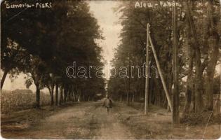 1921 Piski, Simeria; fasor, kerítés, vetés, villanyoszlopok / alley, electricity poles, Transylvanian folklore. photo (EB)