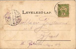 1903 Herkulesfürdő, Baile Herculane; Mehádia vízesés. Fenyves Oszkár kiadása / Mehádia-Wasserfall / ...