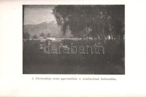 Prinz Gyula: 
Utazásaim Belső-Ázsiában. Nagy-Turán földrajzi ábrázata.
Budapest, 1945. Renaissance...
