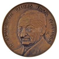 ~1990. "In memoriam Bendes Tibor 1925-1985 / A relévédelem területén végzett kiemelkedő munkájáért" kétoldalas, öntött bronz emlékérem, dísztokban. Szing.: AF(?) (79mm) T:AU