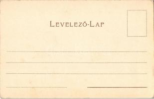 Budapest II. Rózsadomb, Gül baba sírja (türbéje), törökök. Székesfőv. Házinyomda litho (EK)