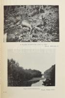 Avarffy Elek: Vadászutakon. Bp., 1942, Vajna és Bokor, 202+6 p. Az oldalszámozáson belül 16 tábla fe...