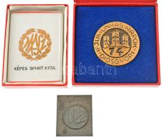 3db-os emlékérem és sport plakett tétel, benne 1947. "Szabad nép - VI. kerületi kultur és sportnapja 1947. VI. 7." Zn plakett (51x59mm) + 1974. "Ifjúmunkás napok - Diósgyőr" egyoldalas aranyozott bronz emlékérem tokban (67mm) + 1978. "Képes Sport" jelzett hollóházi porcelán plakett tokban (113x80mm) T:XF oxidáció, kopott aranyozás, a porcelán pár helyen sérült