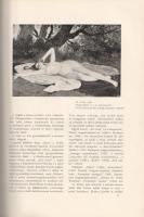 [Folyóirat] Művészet. Szerkeszti: Lyka Károly. Hatodik évfolyam (1907).
Budapest, 1907. Országos Ma...