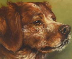 Prihoda Judit (1972-): Breton spániel. Olaj, farost. Jelezve jobbra lent. Fakeretben. 40x30 cm