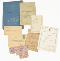 1879-1950 Okmány tétel: Adókönyv a dömsödi szunyog birtokságról, bedási könyv tervkölcsön igazolás.