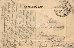 Nagymihály, Michalovce; Landesmann Vilmos gőzmalma és villanytelepe. W. L. Bp, 2062., Freireich köny...