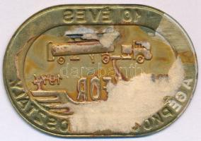 1974. "ÁFOR - 10 éves a Gépkocsi Főosztály" műgyantás fém jelvény tű nélkül, hátoldalán ra...