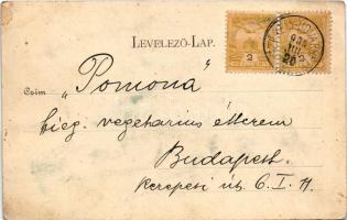 1900 Székelyudvarhely, Odorheiu Secuiesc; látkép, állami főreáliskola, Vármegyeháza. Gyertyánffy Gáb...