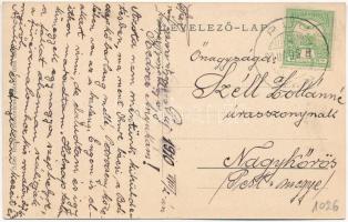 1910 Puj, Pui (Hunyad); fűrészgyár. Adler fényirda (Szászváros) 1909. / sawmill, wood industry