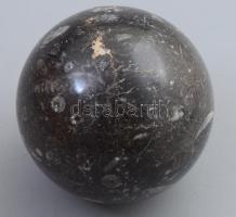 Csiszolt ősmaradvány gömb, d: 6,5 cm