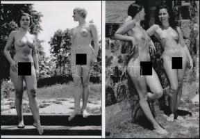 cca 1952 "Nudizó lányok, asszonyok", szolidan erotikus felvételek, 2 db modern nagyítás, jelzés nélkül, 21x15 cm