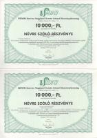 Budapest 1995. "SZEVIKI Szerves Vegyipari Kutató Intézet Részvénytársaság" névre szóló rés...