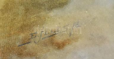 Edvi Illés Aladár (1870-1958): Alvó vadkacsák (Tanulmány). Olaj, karton. Hátoldalon régi árverési cí...