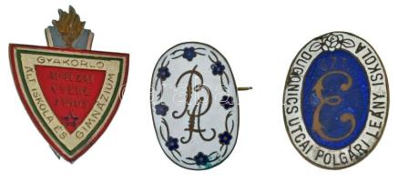 ~1920-1930. "Dugonics utcai Polgári Leány Iskola" zománcozott bronz jelvény (34x25mm) + ~1950. " 'BA' - Bezerédj Amália Óvónőképző és Gimnázium" zománcozott bronz jelvény (30x21mm) + ~1960. "Apáczai Csere János Általános Iskola és Gyakorló Gimnázium" festett fém sapkajelvény (43x29mm) T:XF-VF