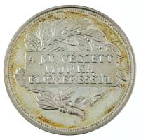 Bognár György (1944-) DN "Budapesti Elektromos Művek Rt. 1893 / A jól végzett munka elismeréséül" jelzett Ag emlékérem dísztokban (31,31g/0.925/42,5mm) T:VF, (eredetileg PP), patina, ujjlenyomat