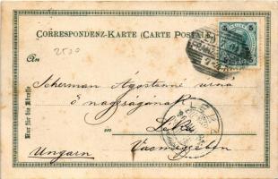 1901 Frantiskovy Lázne, Franzensbad; Kaiserstrasse mit Kaiser Franz-Quelle. Johannes Elchlepp's...