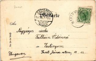 1907 Mariazell (Steiermark), Wallfahrtskirche, Gnaden Mutter / pilgrimage church, basilica. Art Nouv...